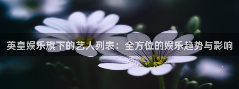 美狮贵宾会线路检测