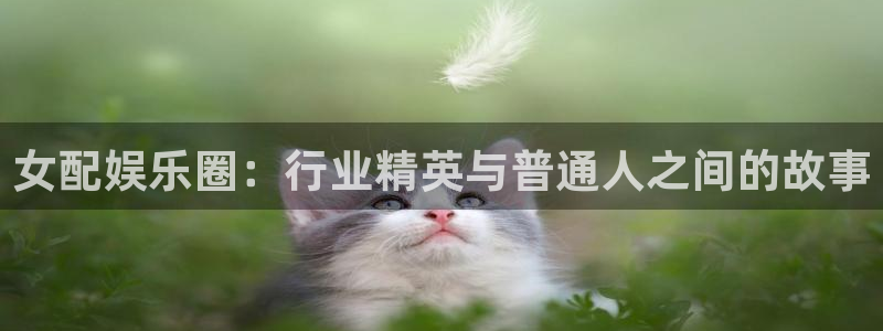 美狮贵宾会网页登陆