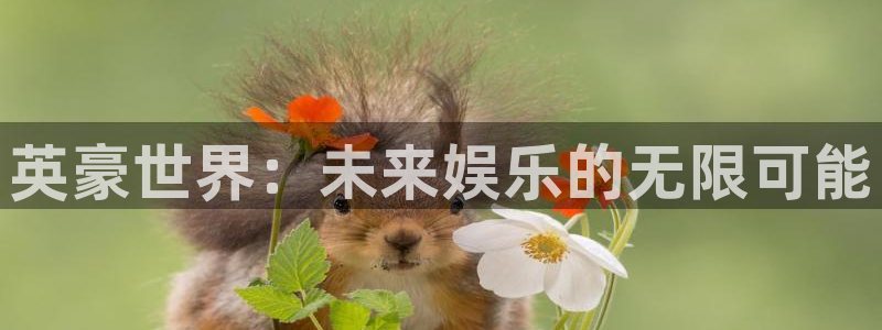 ms美狮贵宾会