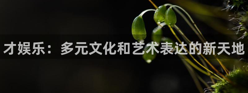 ms美狮贵宾会