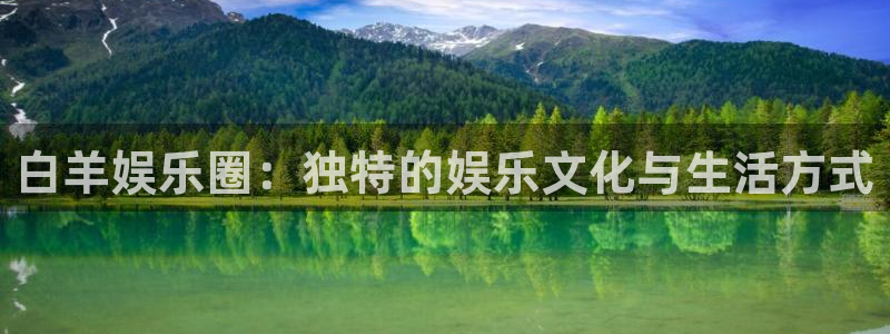 美狮贵宾会官网登录