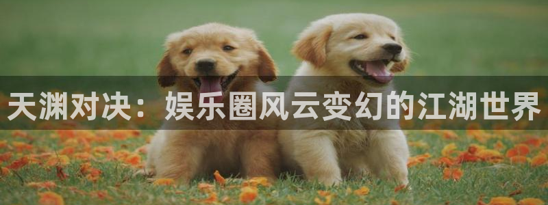 美狮贵宾会官网登录