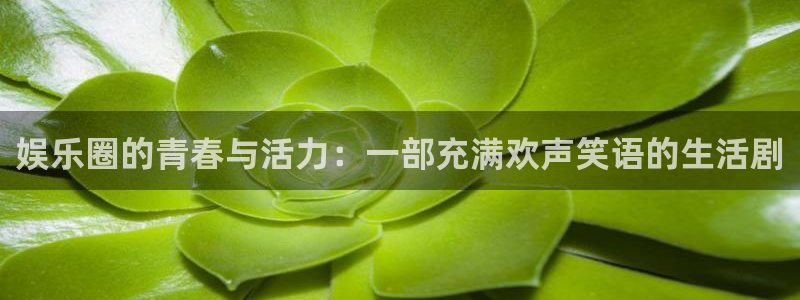 美狮贵宾会ms092021