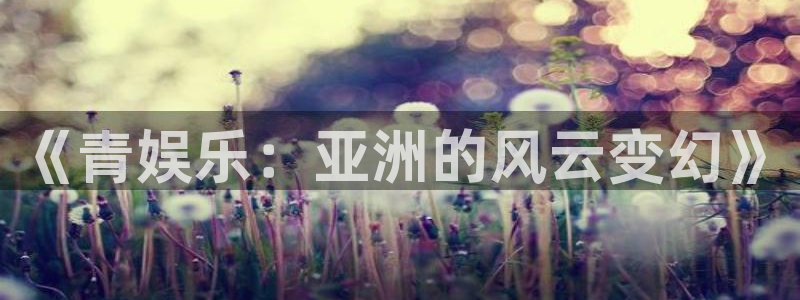 美狮贵宾会官网登录