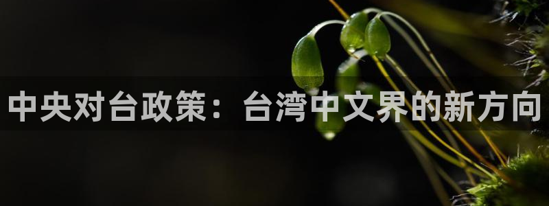 美狮贵宾会线路检测
