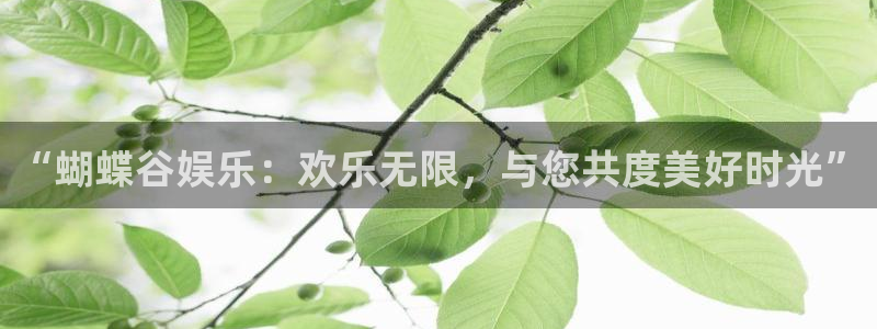 美狮贵宾会会员登录
